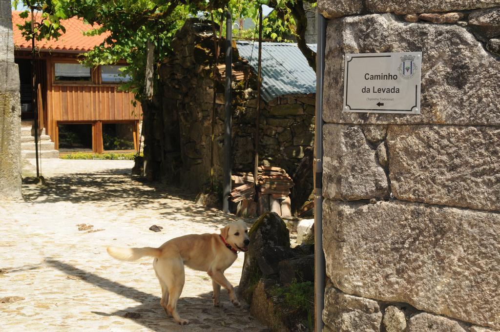 Villa Casinhas Da Levada à Sobredo Extérieur photo